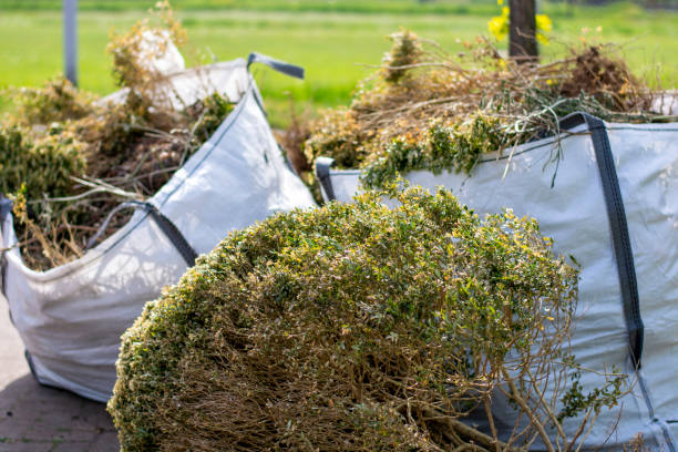 Best Junk Removal Near Me  in Ellisville, MS